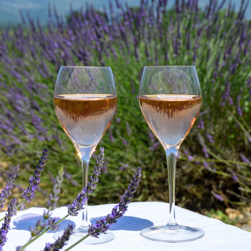Vins de Provence