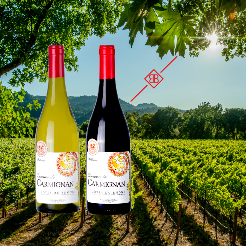 Domaine de Carmignan