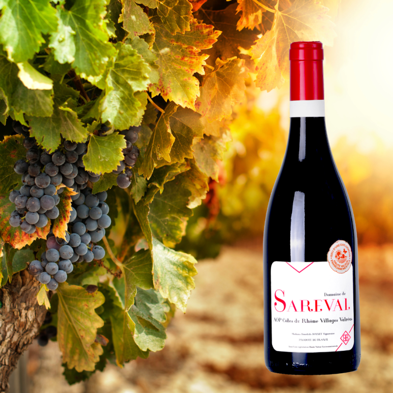 Domaine de Sareval